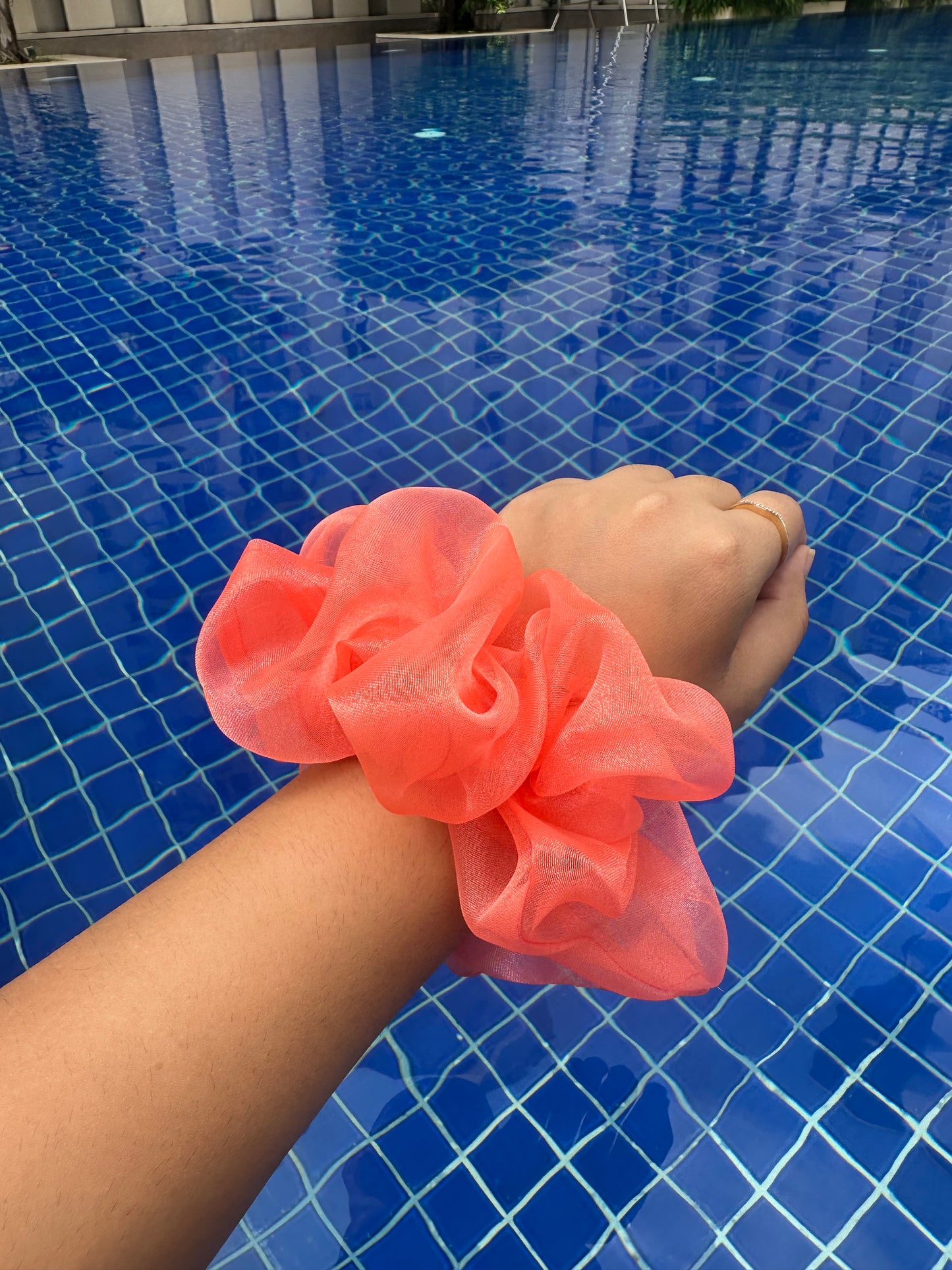 Coral Bloom